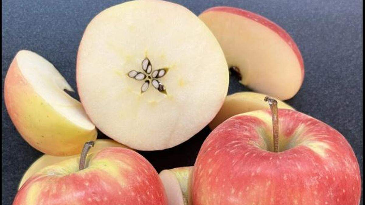 Sunflare is a Washington State University hybrid apple that as first bred in Wenatchee in 1998.