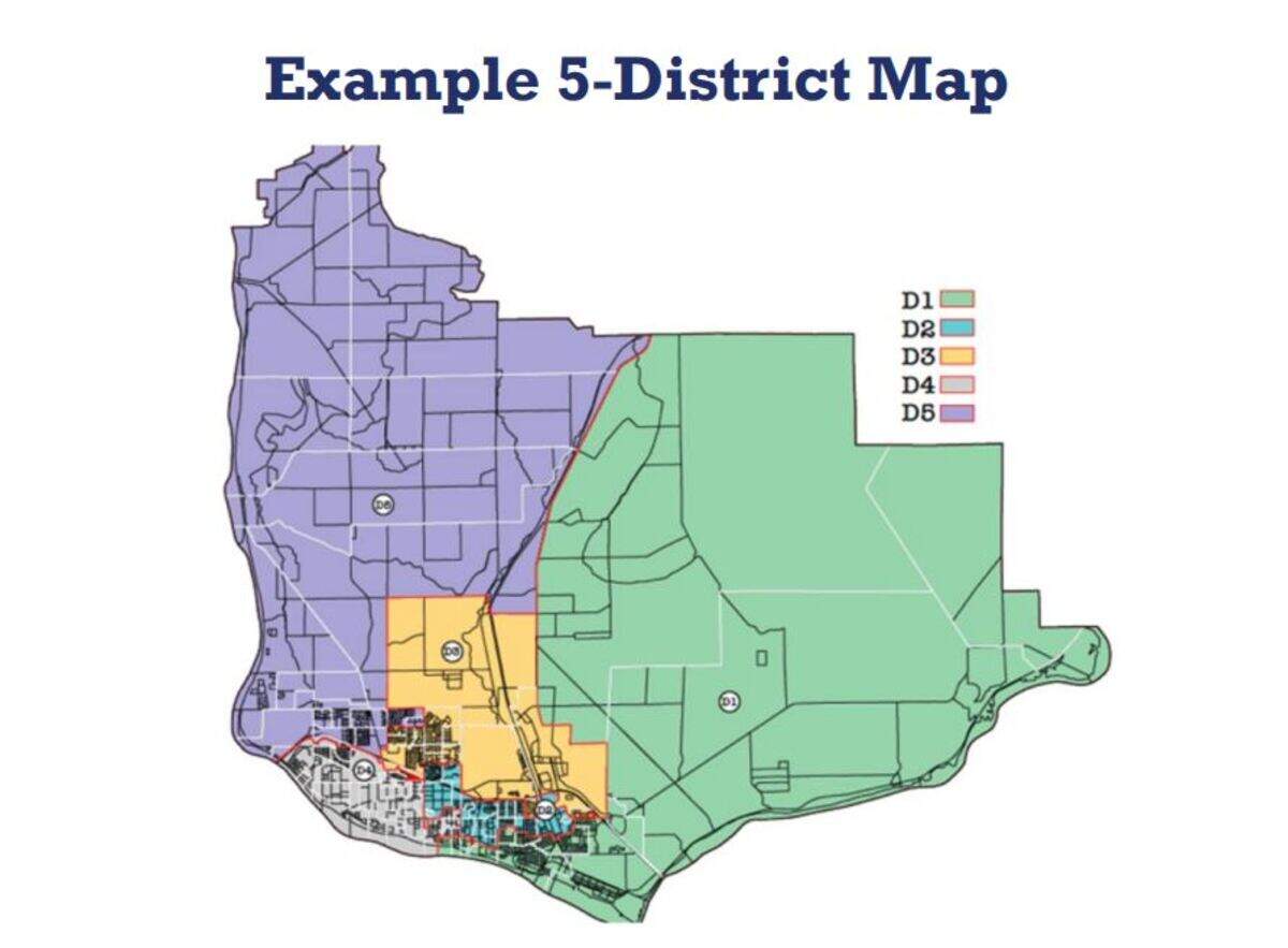 A draft map shows what five district-only school board positions could look like.