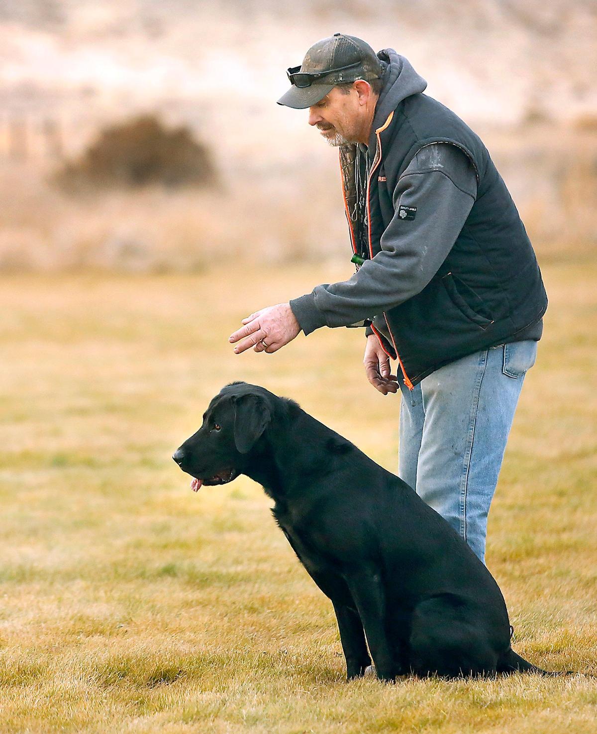 Mark Claypatch, vice president of Sand & Sage Hunting Retriever Club, lines up Colby, his four-year-old black Labrador, for a blind retrieve during a recent training session at Benton County’s Horn Rapids Park. Claypatch and his club have been discussing with county officials the possibility of creating competition and training ponds at the site. Watch a video at: tricityherald.com/video