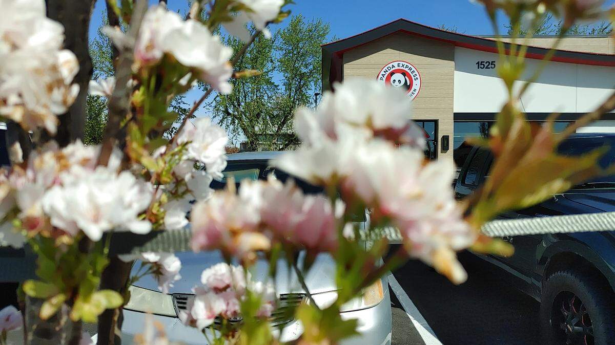 Panda Express prepares to open at 1525 W. Court St., Pasco, amid spring cherry blossoms. The restaurant opens April 12 and will be the fifth Tri-Cities location for the fast American Chinese brand.