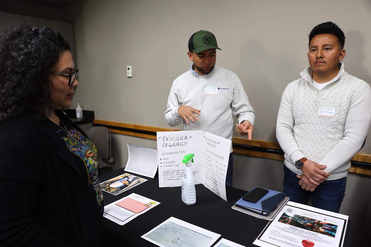 H-2A farmworker Euserio Ramos shares his idea for an organic pesticide for apples with Ana Ruiz Kennedy. In 2024, Kennedy was the Democratic state House candidate for Washington’s 14th Legislative District.