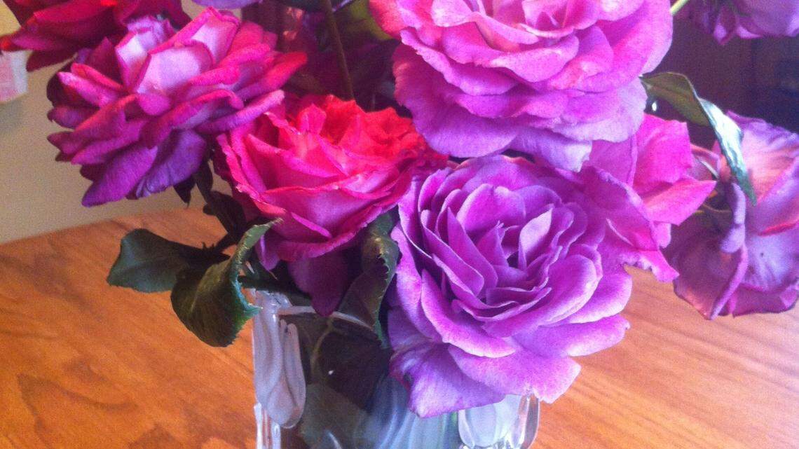 One ‘special delivery’ gift changes outlook on giving