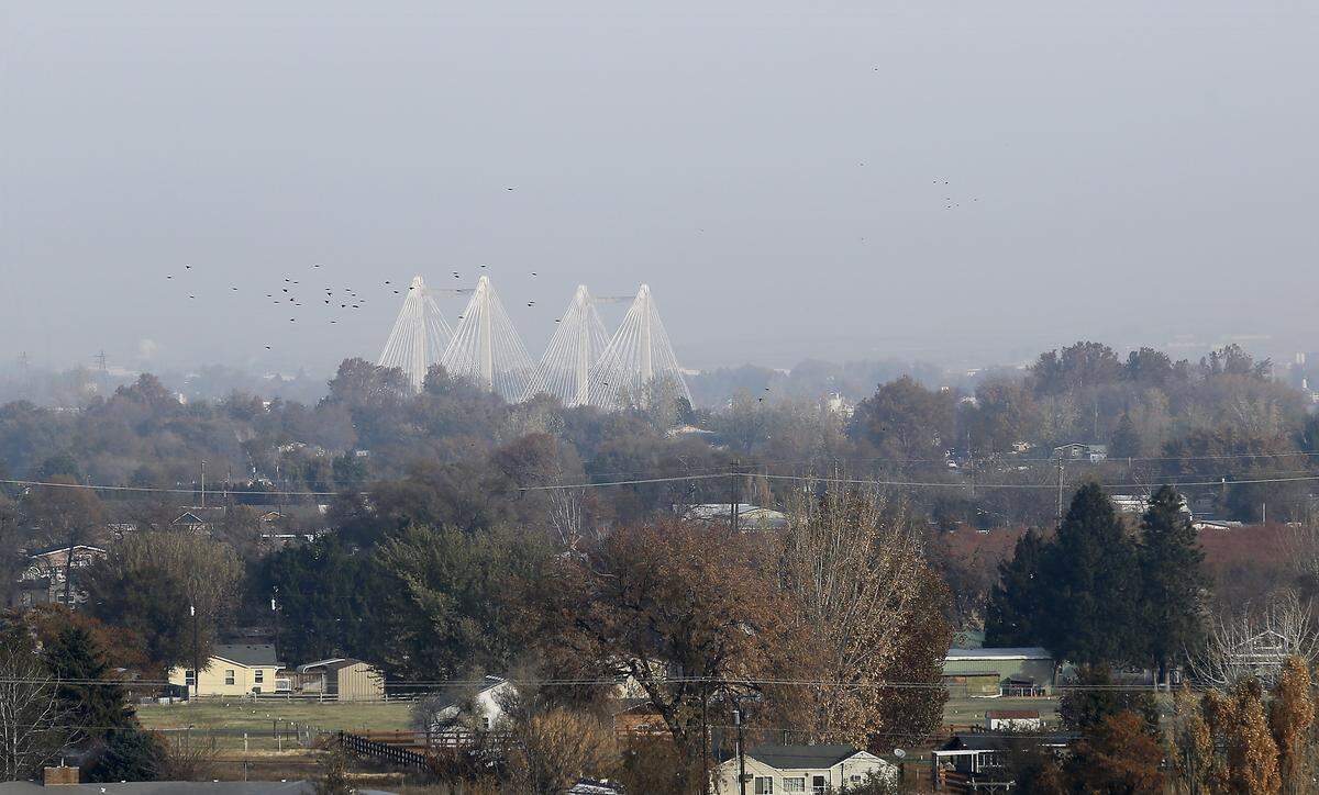A flock of birds glides through the hazy morning sky in Kennewick with the cable bridge as a fuzzy backdrop to their early morning flight. The Tri-Cities and Mid-Columbia are under an air stagnation advisory issued by the National Weather Service through noon on New Year’s Day.