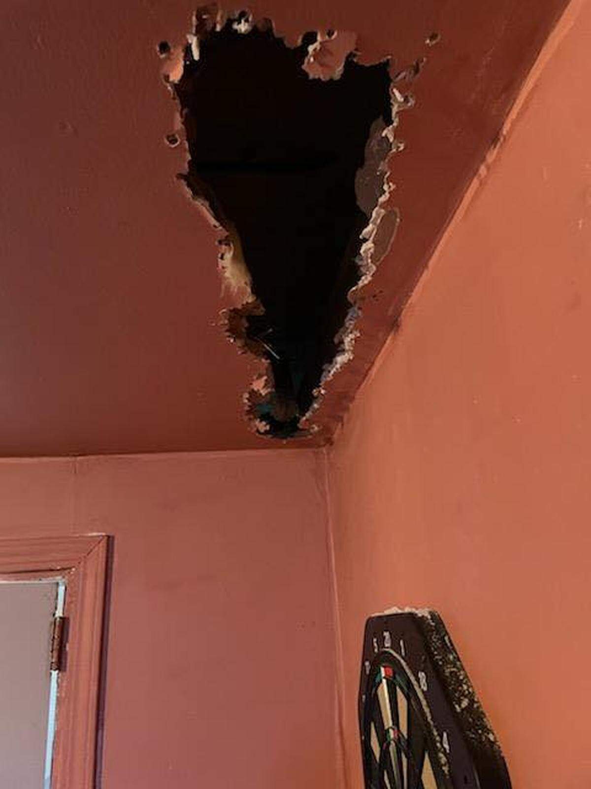 Firefighters found kittens hiding behind the drywall of a Pasco house.