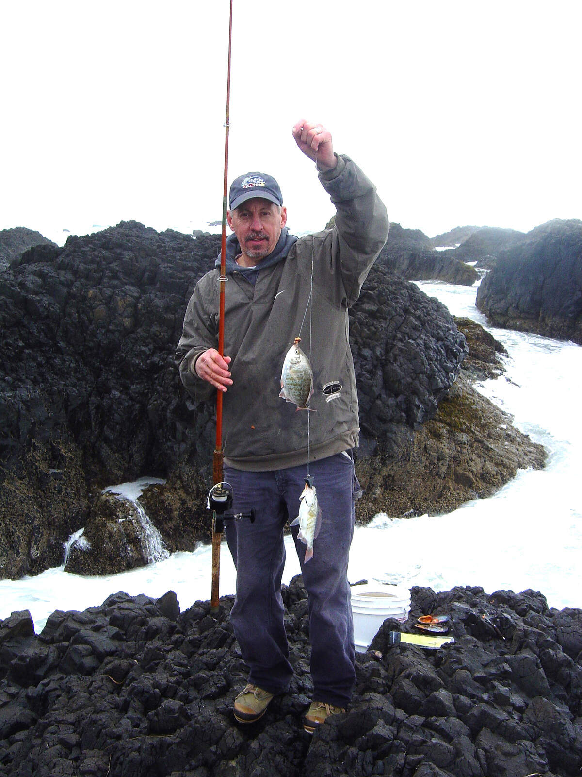 Using a two hook rig sometimes leads to a “double” of junior-size redtail surfperch.