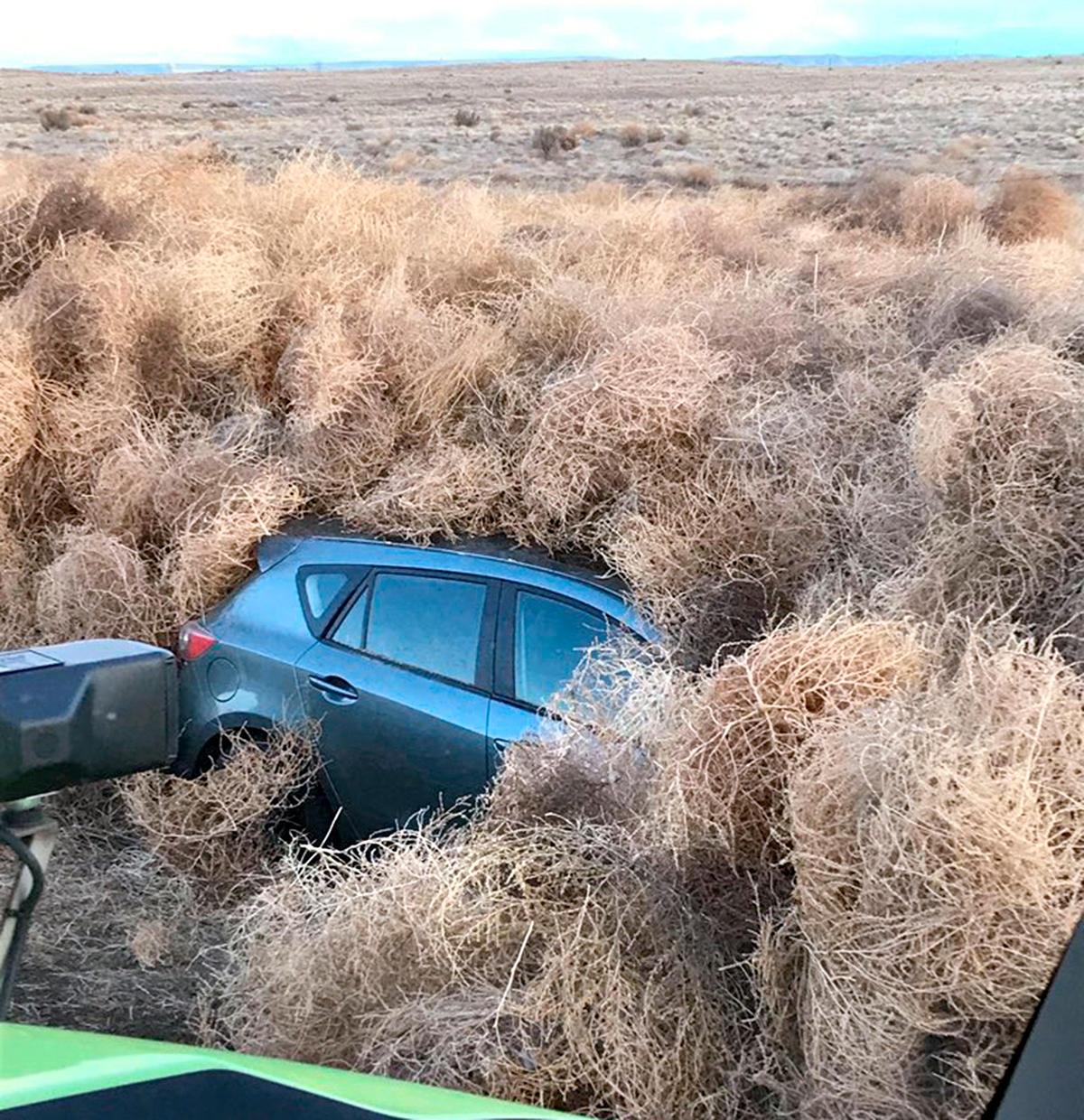 Wind-blown tumbleweeds cover a vehicle on Highway 240 northwest of Richland following strong gusty winds that started on New Year’s Eve. The highway was closed for about 10 hours until snowplows and workers could clear the roadway.