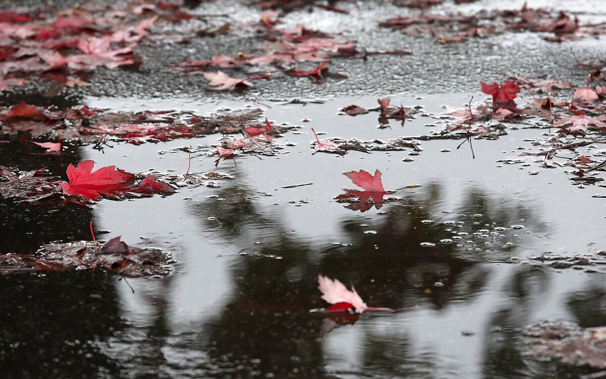 While the precipitation so far this month has been substantial for the Tri-Cities, it’s light compared to the west side of the state, which has been hit with an atmospheric river, sometimes called a Pineapple Express.