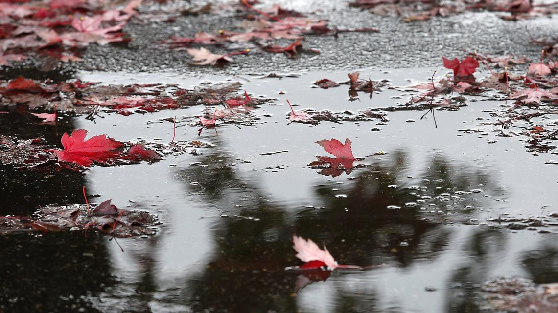 The Tri-Cities has already had .45 inch of precipitation, most of it rain, so far in December 2023.