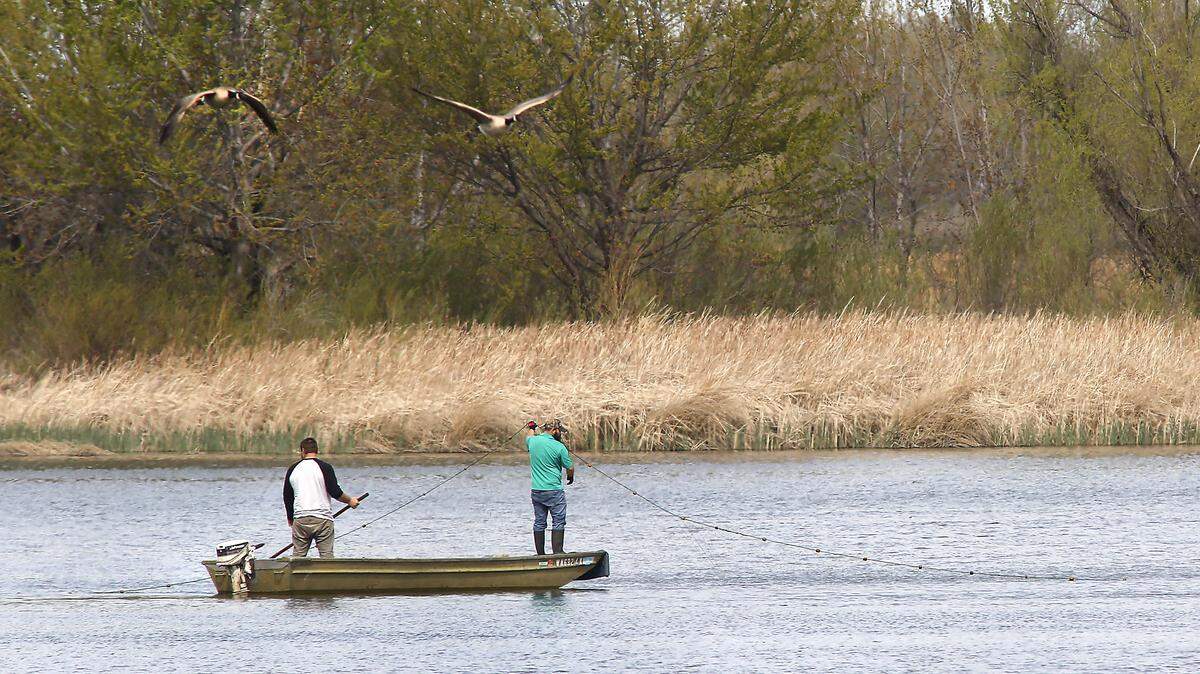 A pair of unidentified men check a gill net from a small john boat in the shallow backwaters of the Yakima River near Bateman Island in Richland.