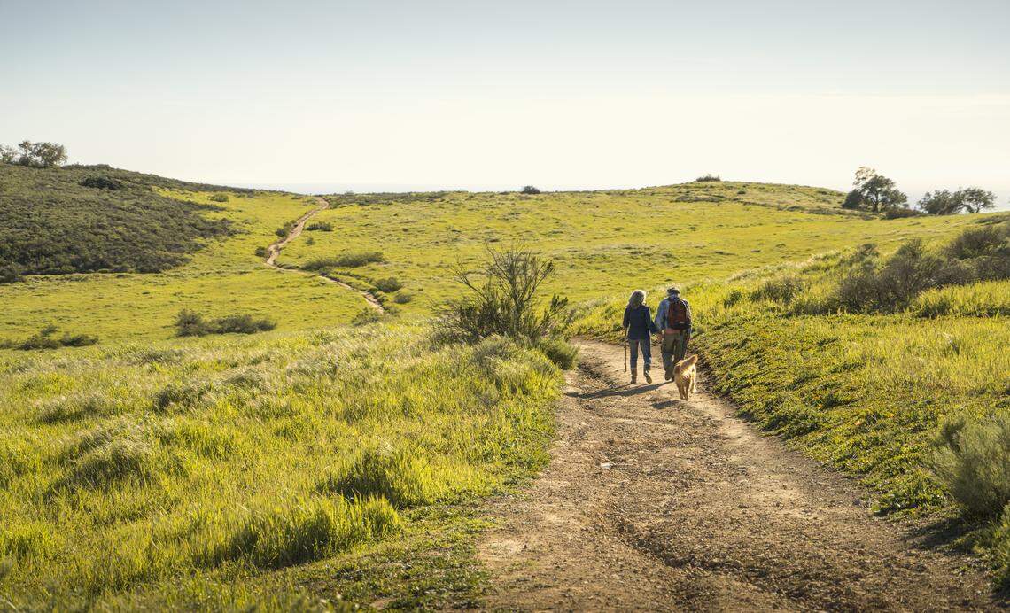 Hikers on a trail.