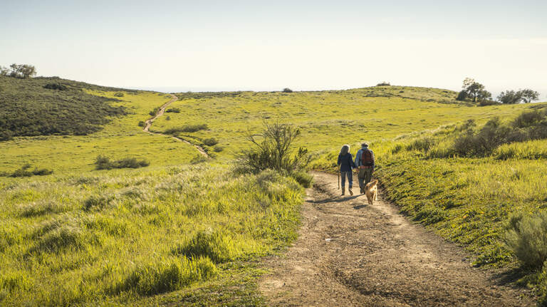 Stay safe on Tri‑Cities trails: how to spot ticks, snakes and poison oak