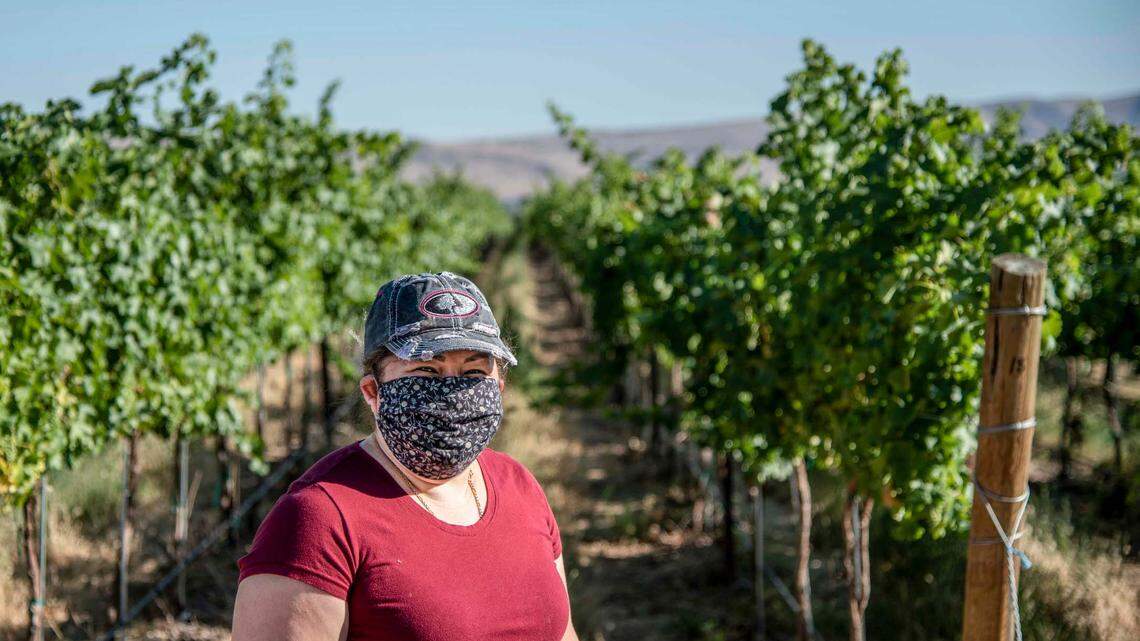 WA farmers sue state for relief from ‘arbitrary’ COVID restrictions