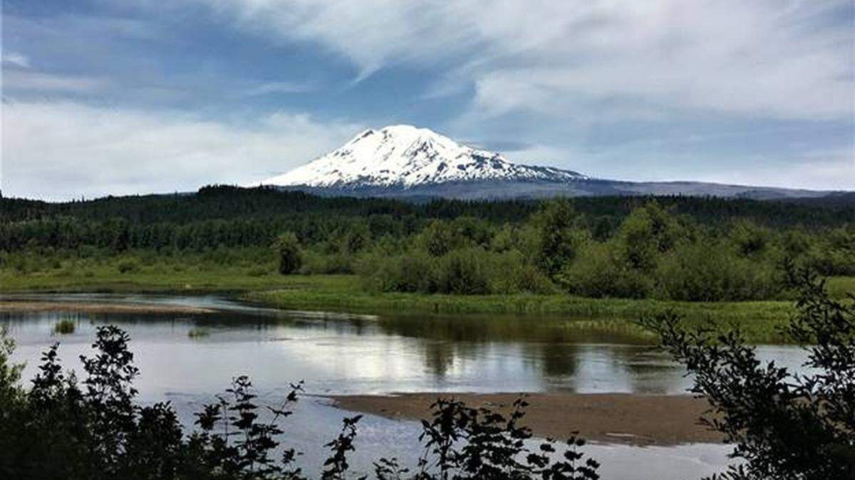 Here’s the view of Mount Adams from the Trout Lake Natural Area Preserve. The preserve lies just north of the town of White Salmon and may be accessed by turning north on Lake Road from Highway 141.