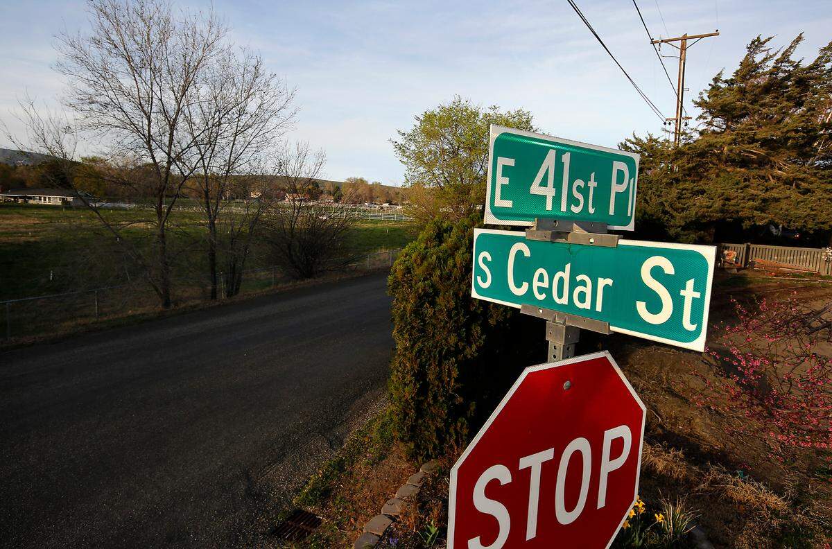 Kennewick Police responded to a call Tuesday about a cougar spotted in a tree in this section of East 41st Avenue in east Kennewick.