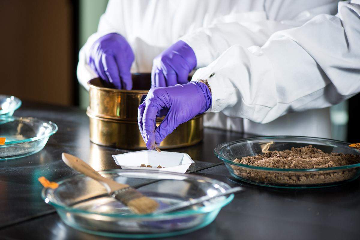Soil samples from the Mid-Columbia region, the Midwest, Alaska and other sites around the world are collected by PNNL scientists, then brought back for study at the laboratory.
