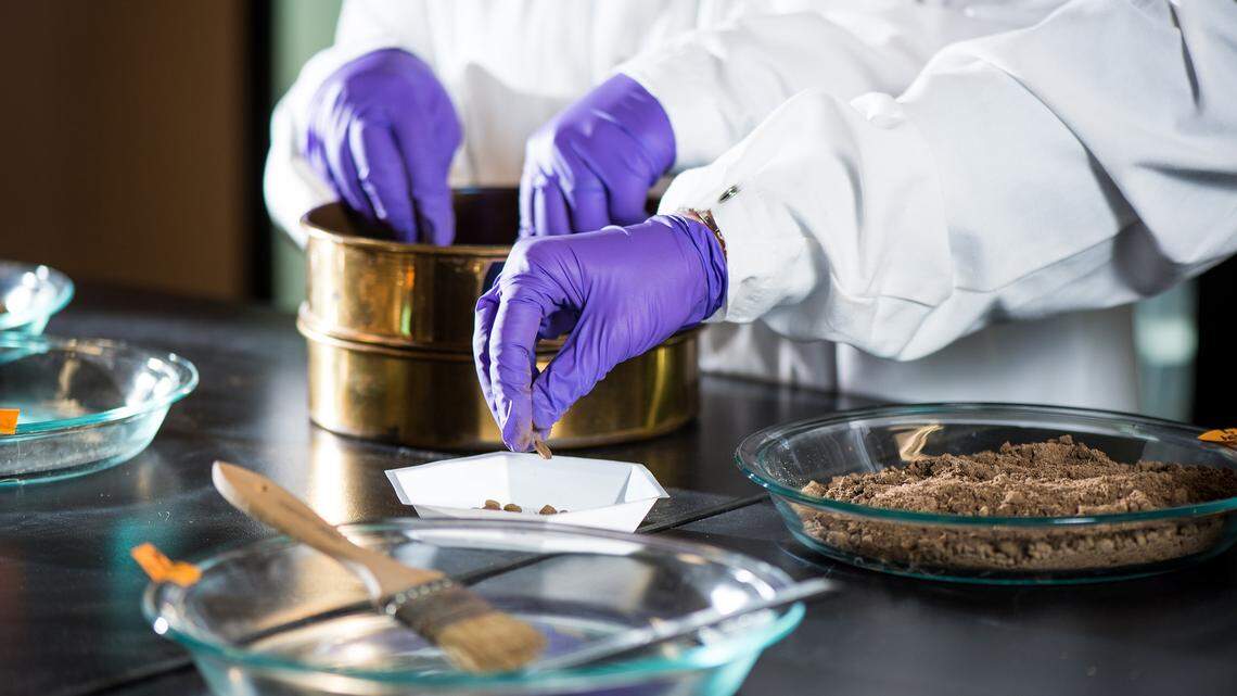 PNNL scientists are getting the dirt on soil and what it says about our planet’s health