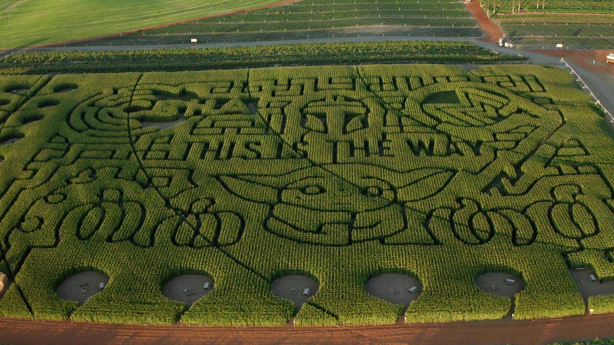 Middleton Six Sons Farm in Pasco, WA featured a Mandalorian-themed corn maze in 2021.