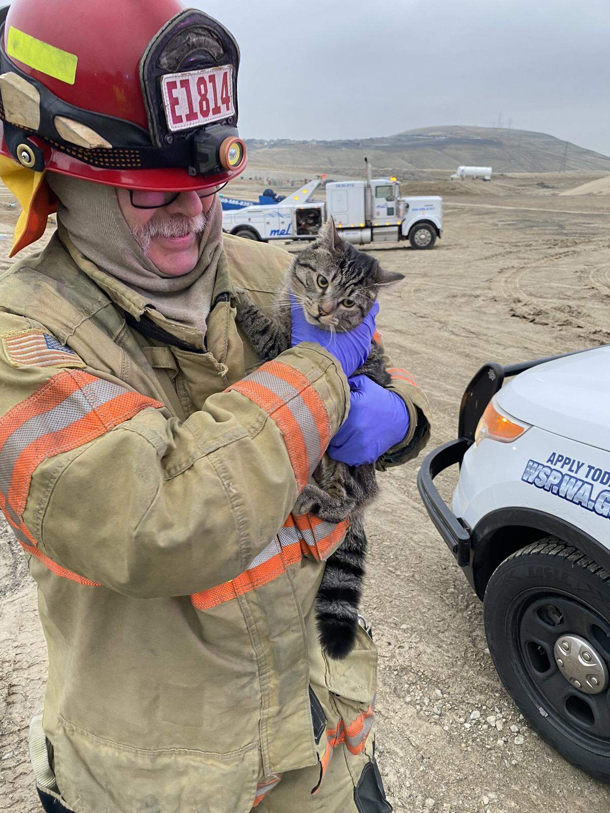 Kennewick firefighters saved a cat that was in the cab of a semi that tipped over on Highway 395.