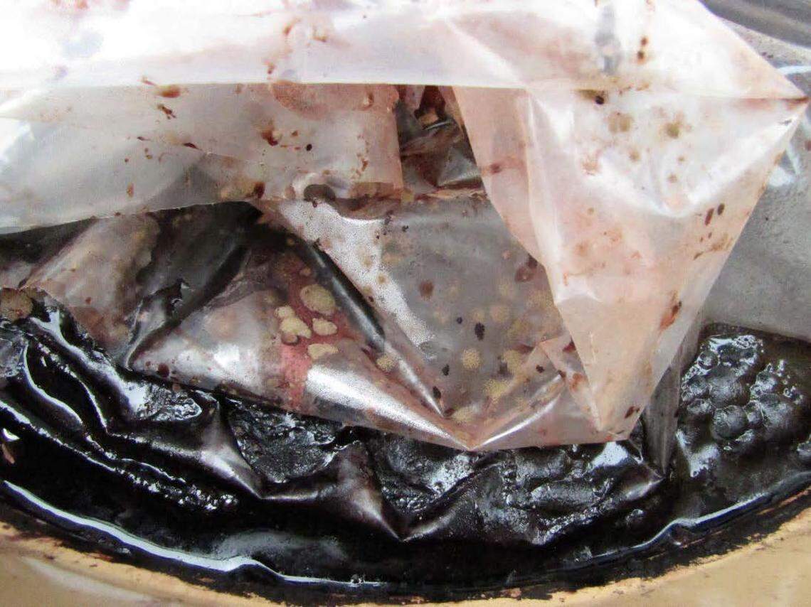 A photo filed in federal court shows apparent mold growing inside plastic bags holding grape product to be made into juice concentrate Valley Processing in Sunnyside.