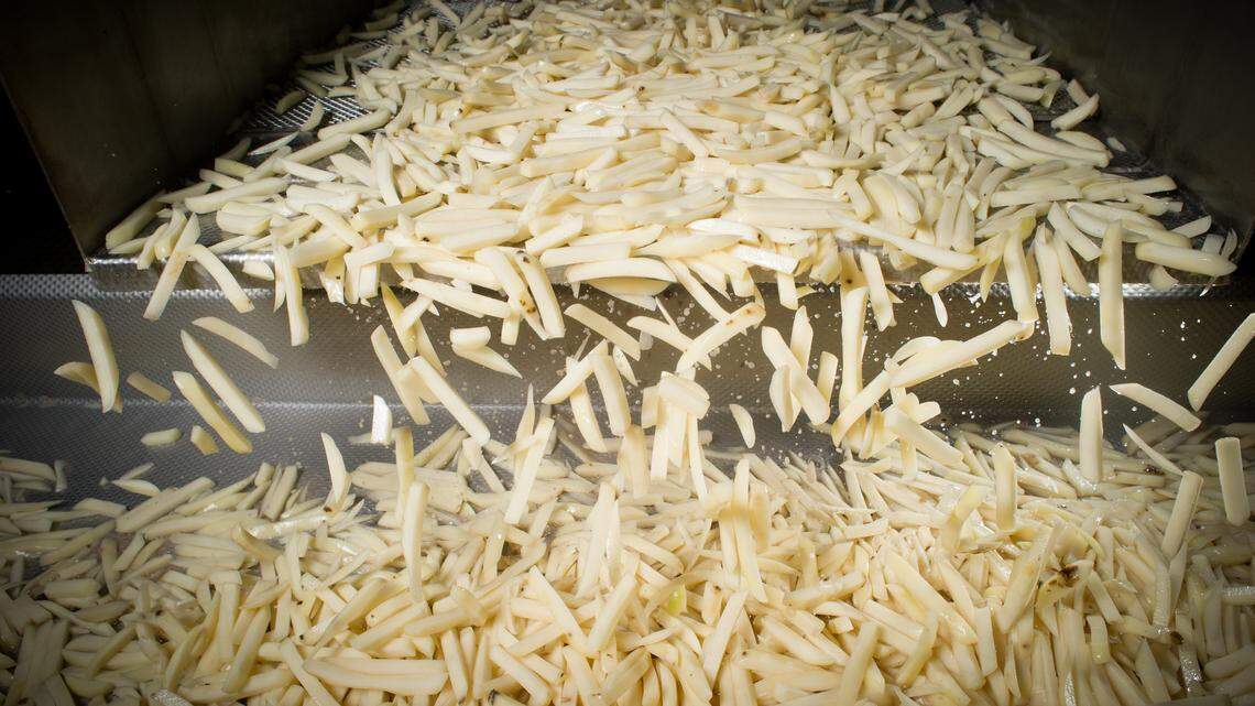 Idaho frozen french fry manufacturers sued for price fixing, forming potato ‘cartel’