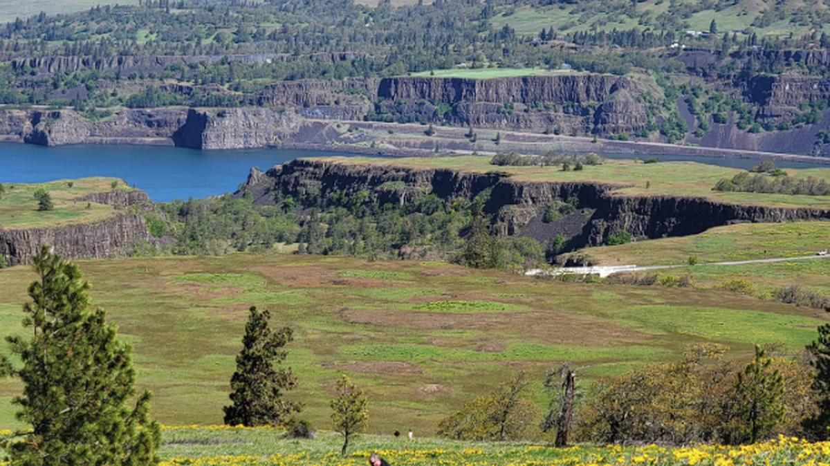 Mt. Adams from the Tom McCall Preserve near Moser, Ore.
