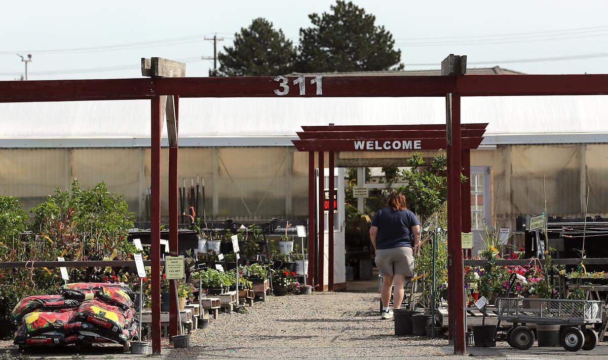 A customer browses at the Flower Farm in Kennewick. 