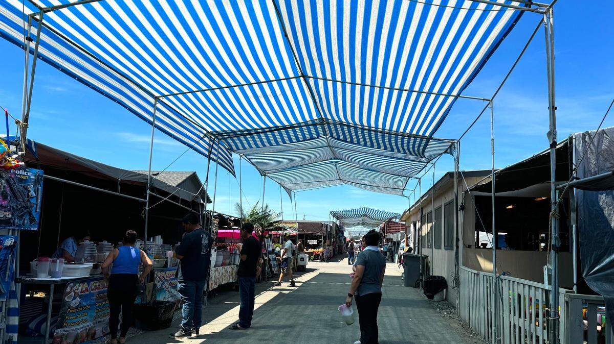 The Pasco Flea Market is located at 3620 E Lewis Pl. in Pasco. It’s open weekends from March to October.