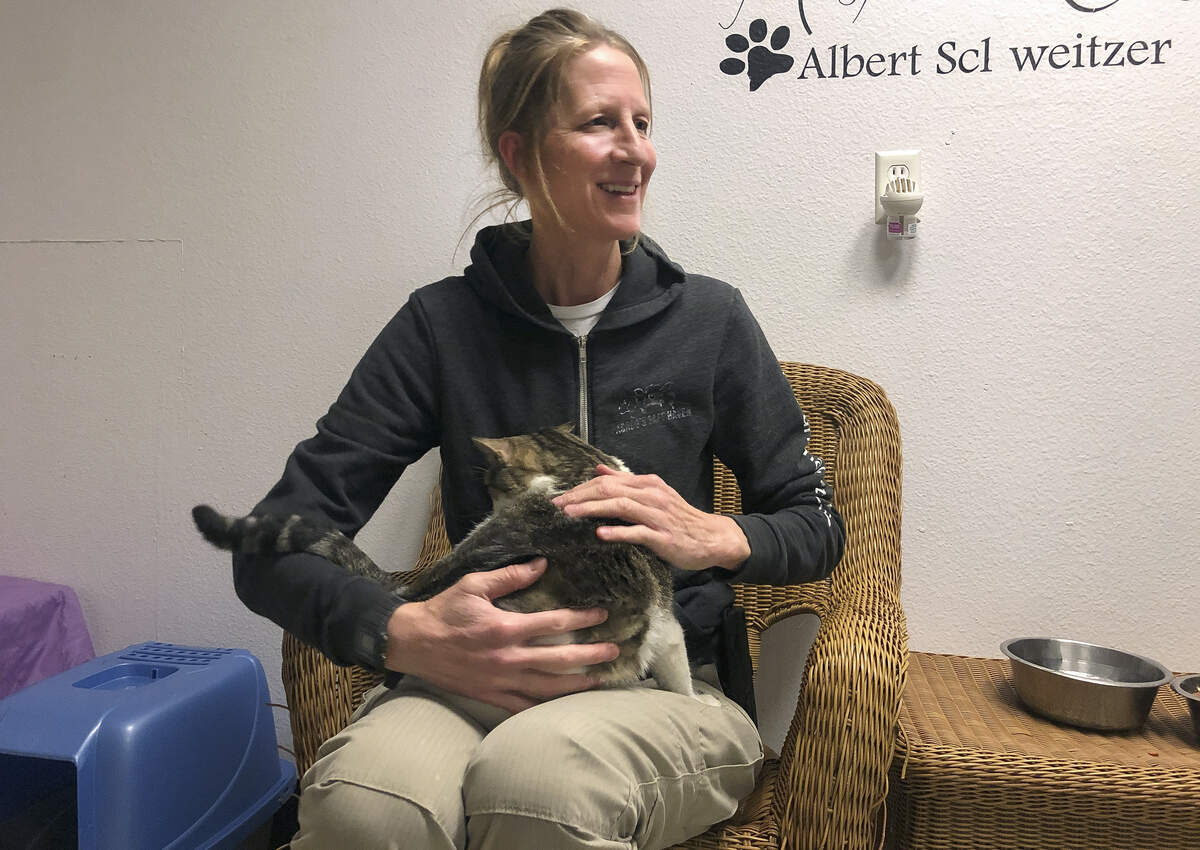 Debbie Sporcich sits holding a cat inside the cat-room at Tri-Cities Animal Control shelter in Pasco on Wednesday. Sporcich is the new director at the Tri-Cities Animal Control shelter succeeding Angela Zilar who retired in December.