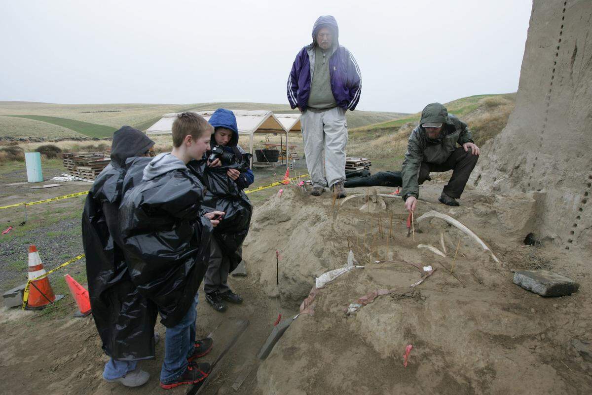 George Last, geology research coordinator for the Coyote Canyon Mammoth Site near Kennewick, right, points out mammoth rib bones to visiting students.