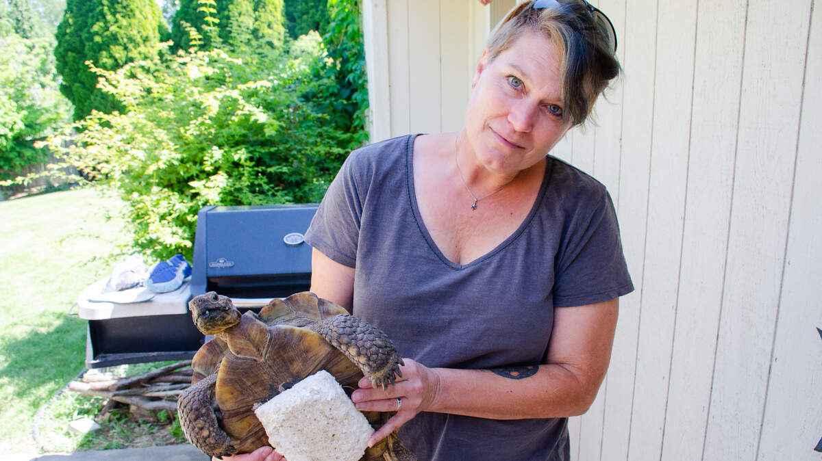 PNW’s only tortoise sanctuary & rescue is based in Tri-Cities, WA | Tri ...