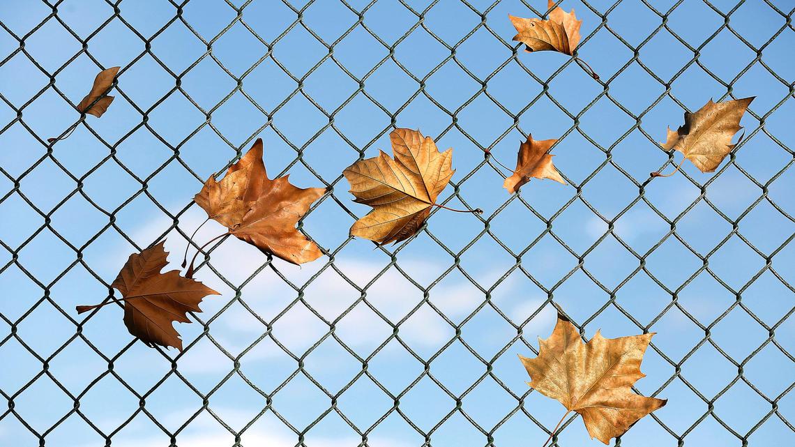 A teen girl escaped from her accused kidnapper by grabbing onto a chain-link fence, Ohio police say.