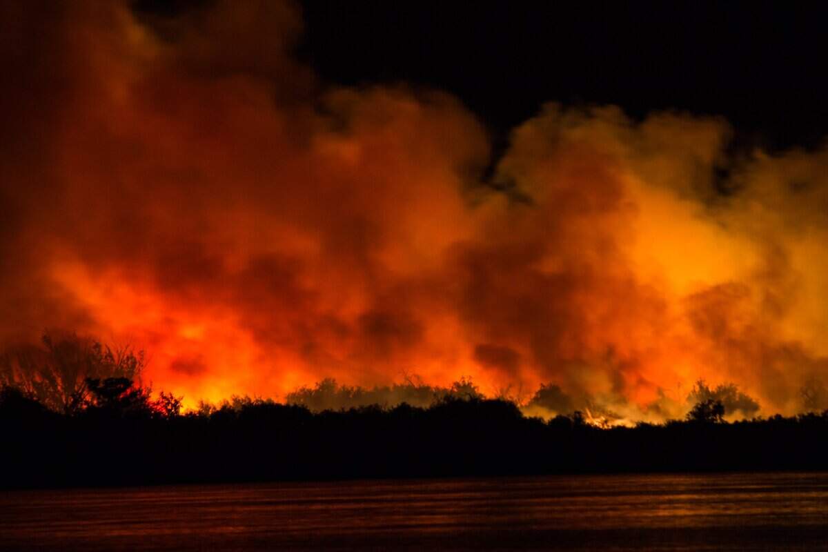A fire burning across Bateman Island in July 2017 lit up the sky and left the park closed for 11 months.