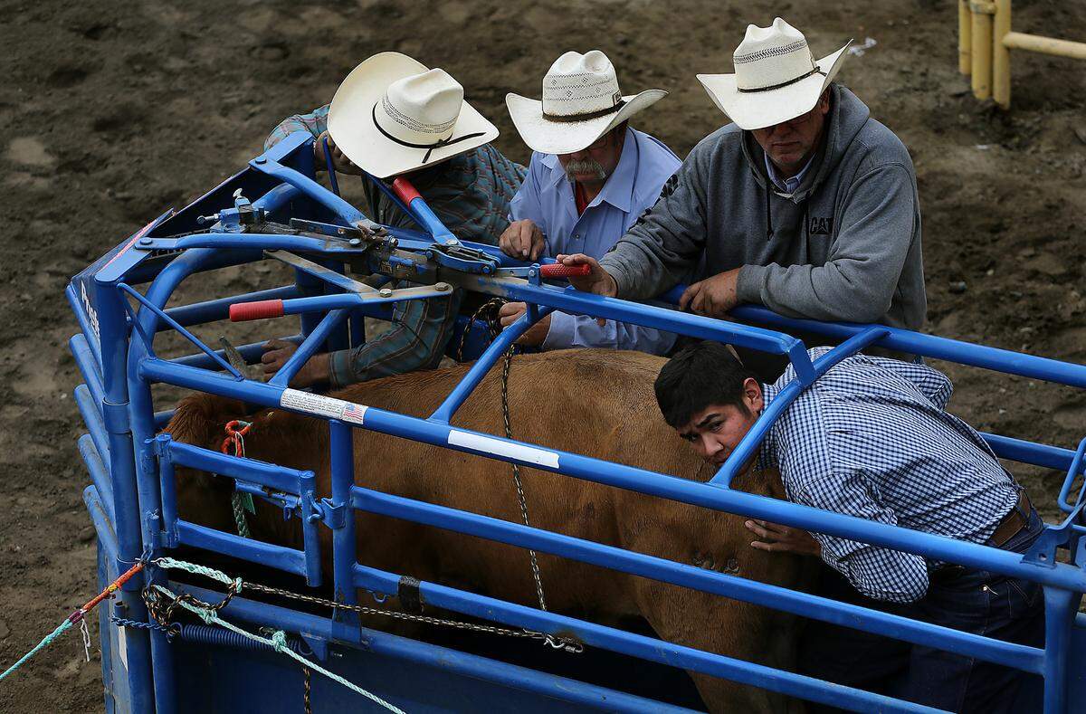 The Benton Franklin Fair & Horse Heaven Round-Up Rodeo at the fairgrounds in Kennewick.