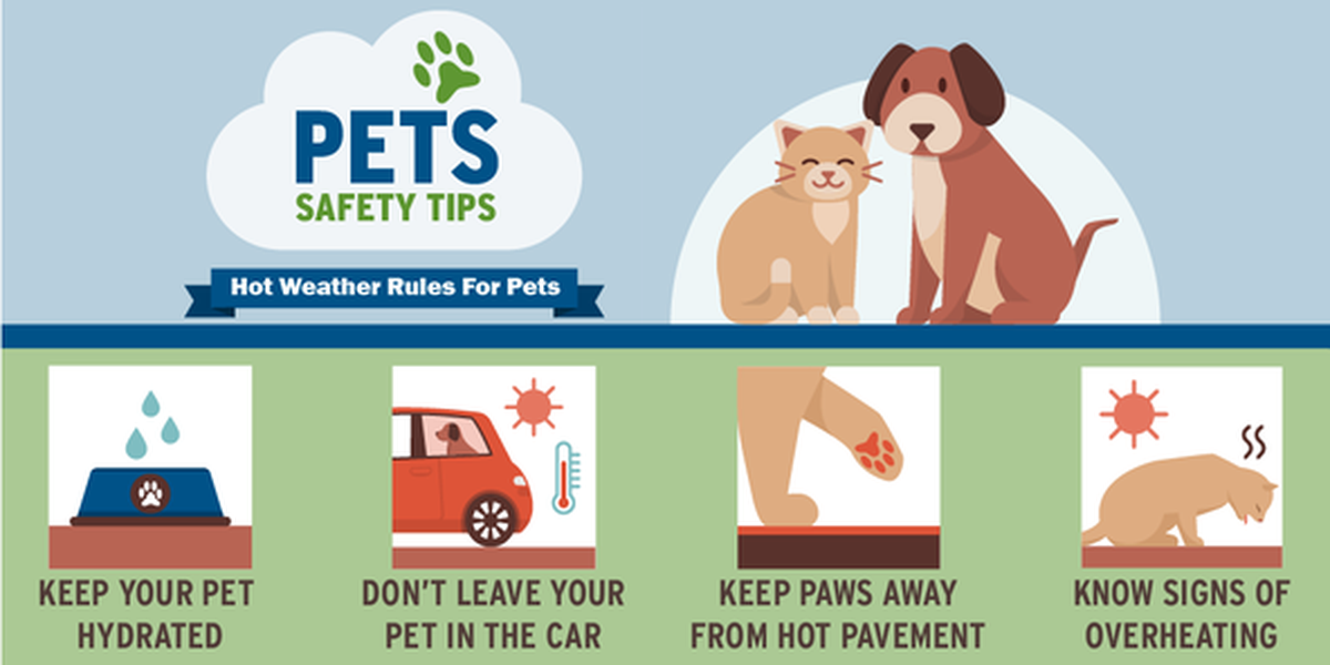 Courtesy Oregon Office of Emergency Management