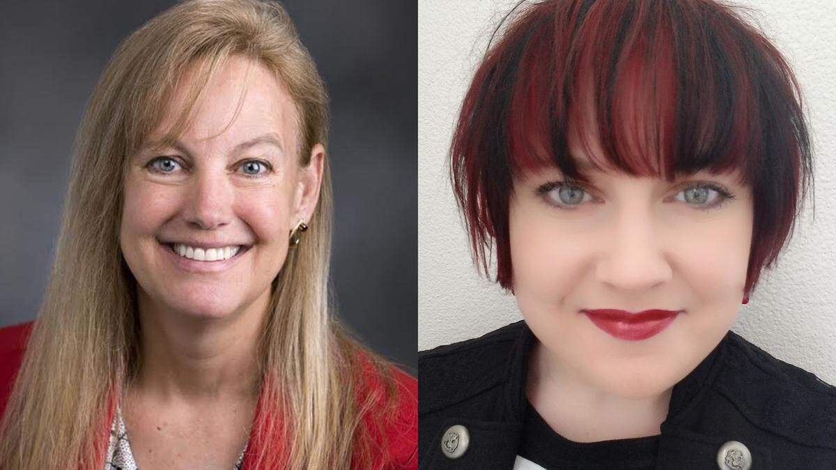 Republican Rep. Mary Dye and Democrat challenger Jenn Goulet are running for a House seat in Legislative District 9.