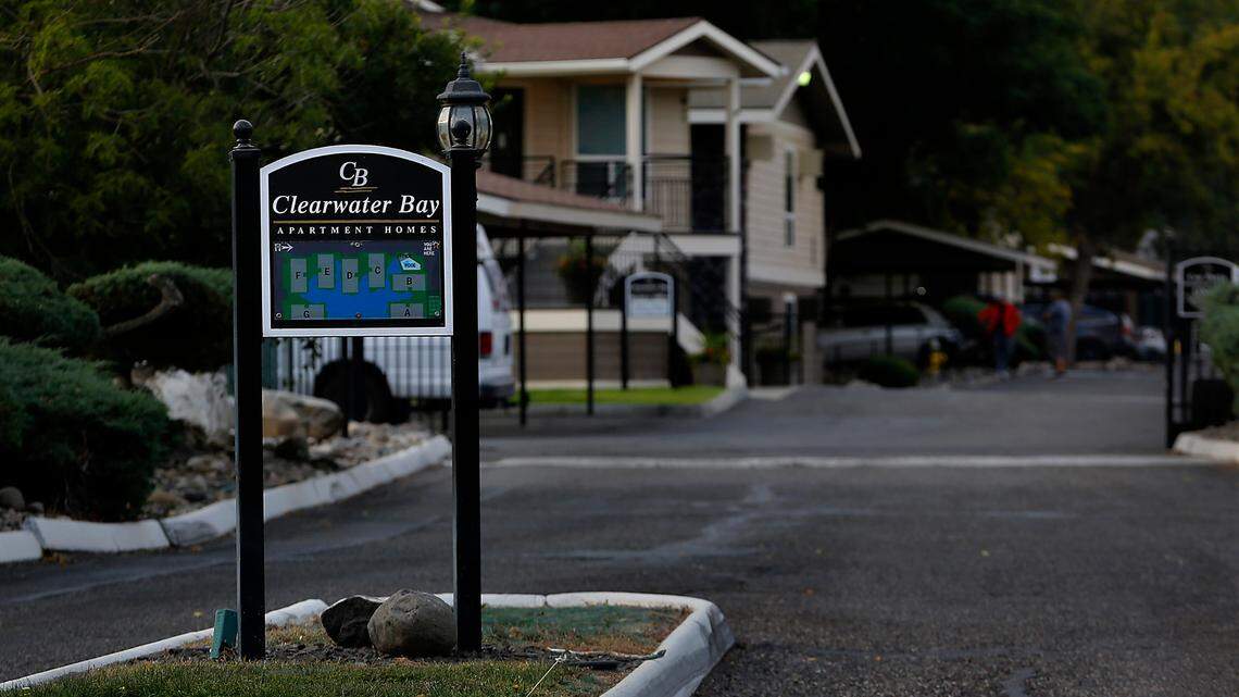Crying kitten led to grisly discovery of dead cats at Kennewick apartment