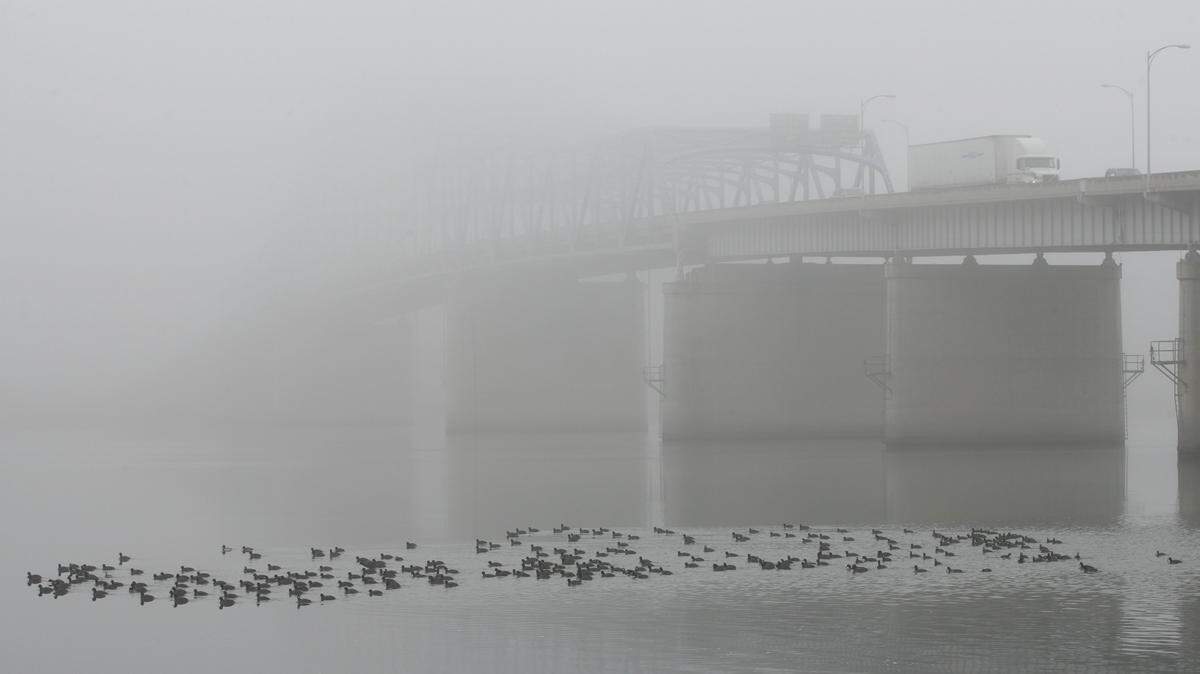 Some foggy mornings are possible in the Tri-Cities through the weekend, but temperatures should not be cold enough for the fog to freeze.