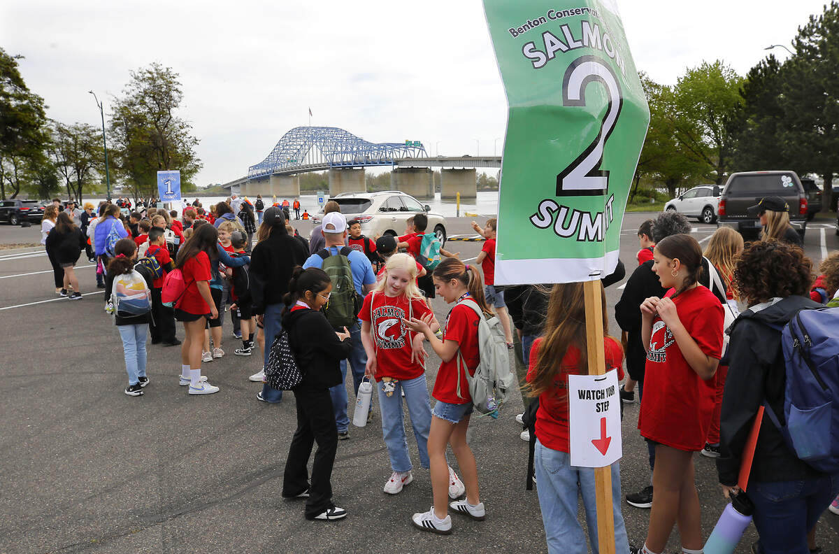 Elementary students from across the Eastern Washington region line up in the parking lot waiting to release the salmon fry they raised in their classroom through the Salmon in the Classroom program.