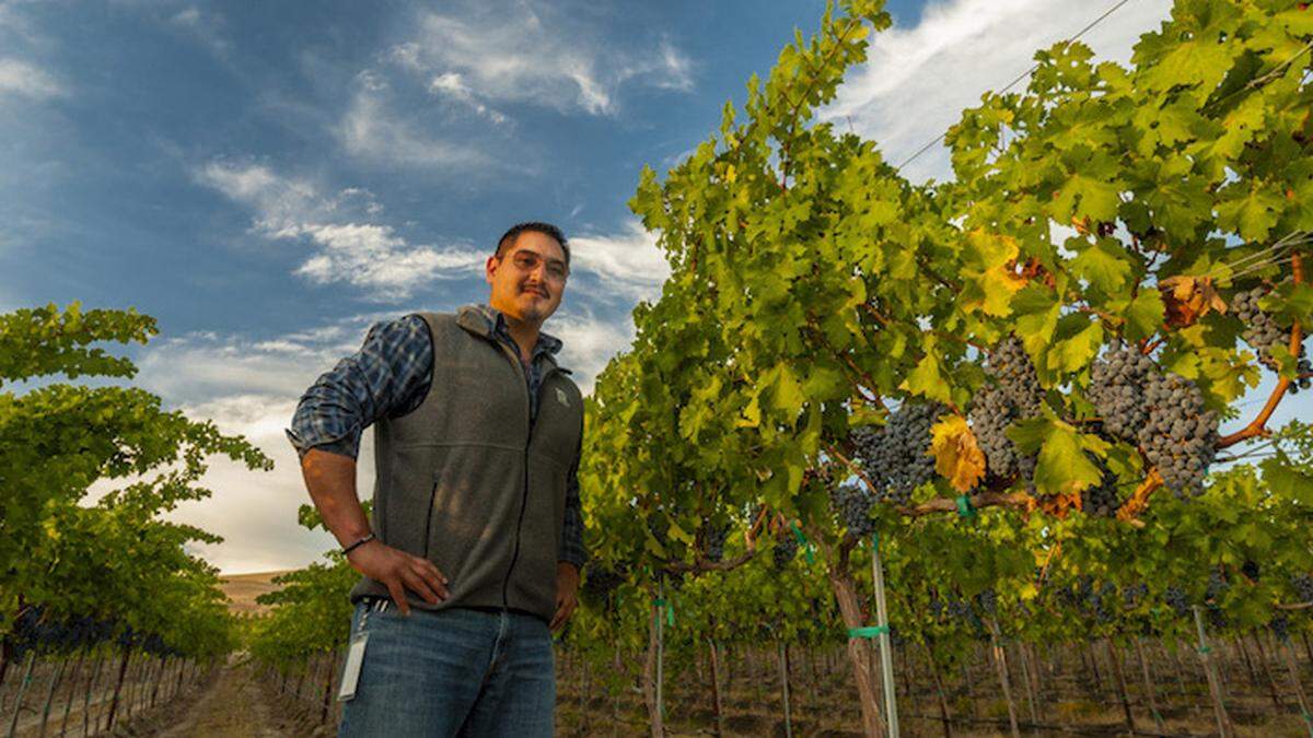 Victor Palencia, one of Washington’s most prolific and decorated winemakers, and Kennewick bakery owner Nena Cosic have joined to open Culture Shock Bistro food truck in the Columbia Gardens Wine and Artisan Village in Kennewick.