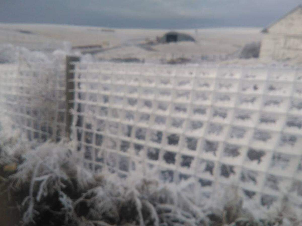 Hoar frost was so heavy Monday night near Rattlesnake Mountain that it snapped 18 Benton REA power poles.