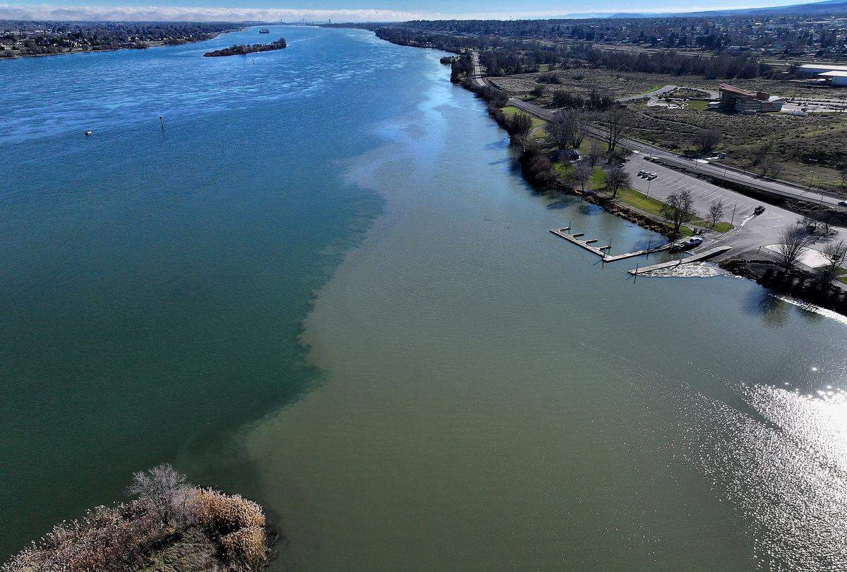 A sediment plume from the Yakima River freely flowing past Bateman Island in Richland is visible blending with the Columbia River after crews breached and removed the 500-foot man-made causeway to improve salmon passage.