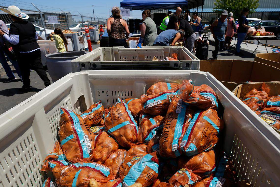 Volunteers distribute food at the St. Vincent de Paul Food Bank facility in Pasco. Officials say they are serving an average of 1,600 families each week.