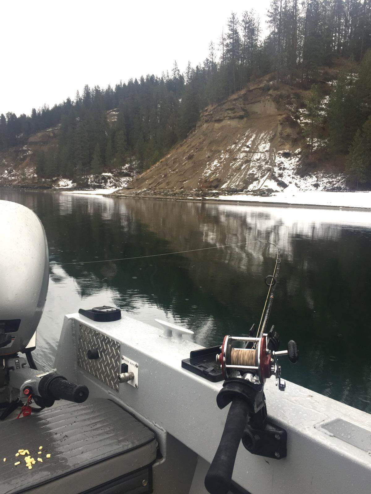 Rainbow trout can be caught trolling flies on leadcore line along Lake Roosevelt’s steep shorelines.