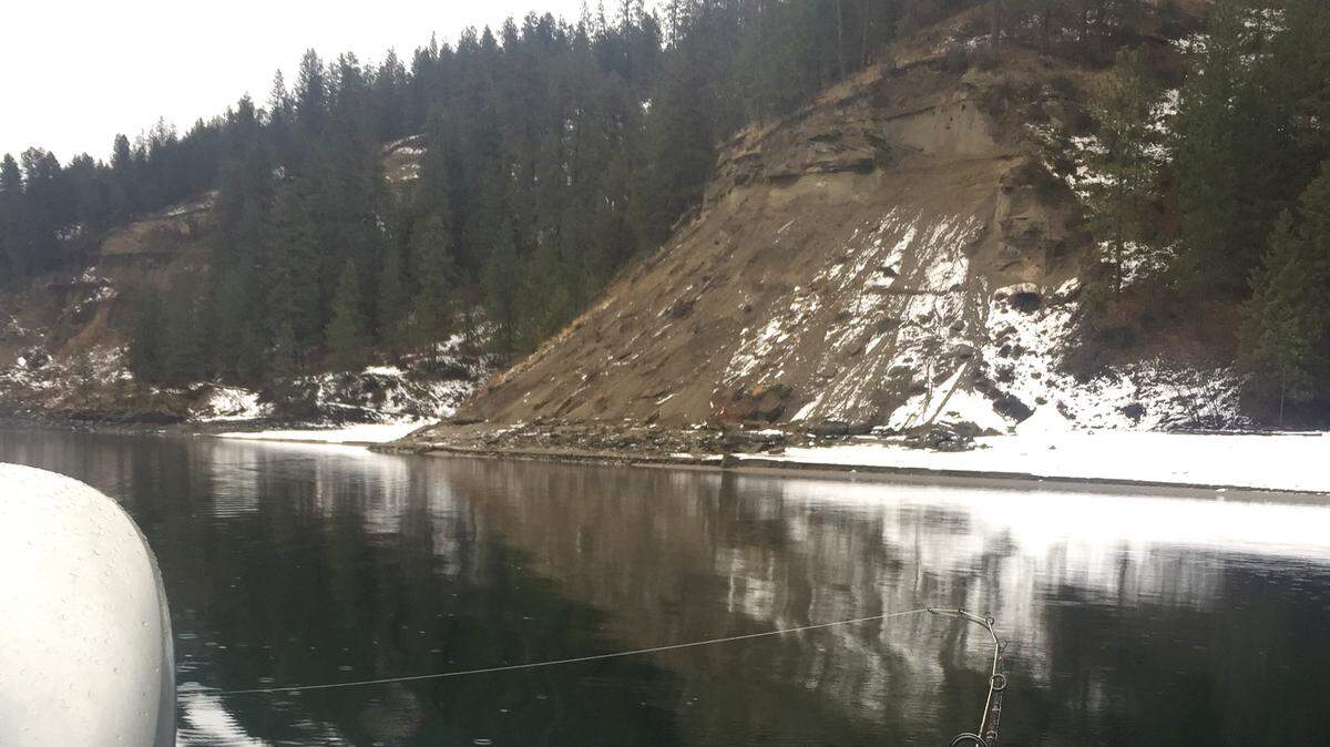 Rainbow trout can be caught trolling flies on leadcore line along Lake Roosevelt’s steep shorelines.