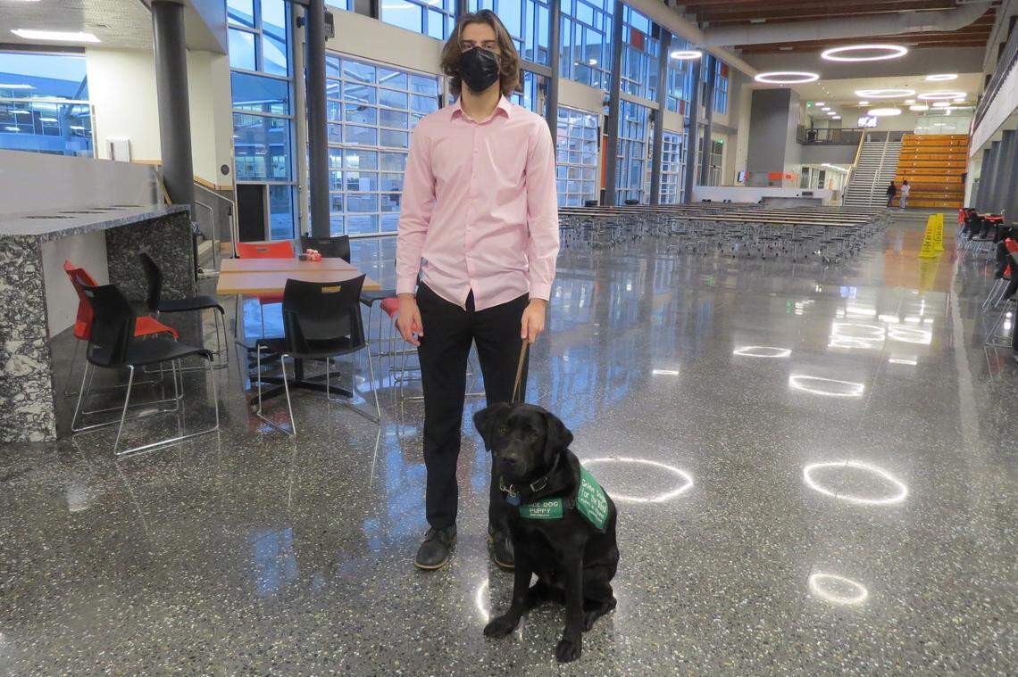 Carson Williams, a 17-year-old Kennewick High student, spent more than a year and a half raising Chili, who goes for the final bit of training to be a guide dog for the blind.