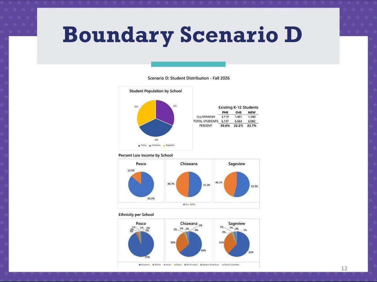 Demographics of Scenario D, the Pasco School District high school boundary scenario chosen by the school board on June 11, 2024.