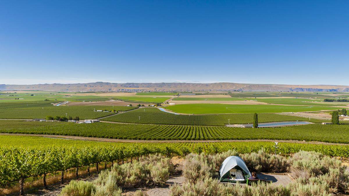 Stillwater Creek Vineyard, a 230-acre planting owned by the Alberg family and the signature site of Novelty Hill Winery in Woodinville, Wash., overlooks the town of Royal City, Wash.