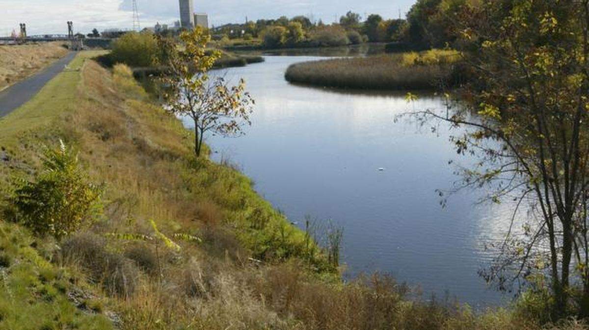 Duffy Pond Kennewick