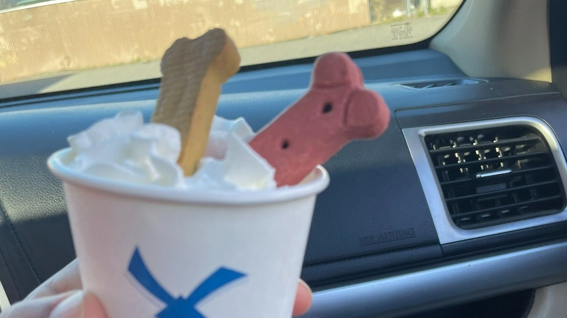 Where is the best place in Tri-Cities to get a pup cup? Vote for your dog’s favorite cafe