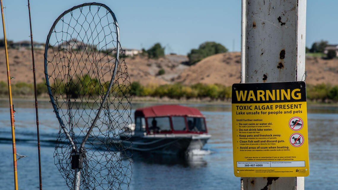 Update: Health district warns of Toxic algae in river at this Tri-Cities park